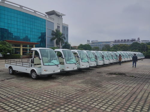Últimas noticias de la empresa sobre Cuba adopta vehículos eléctricos de turismo y camiones de carga: florece la movilidad sostenible en el sector hotelero
