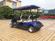 Carro de golf multifuncional de la compañia de electricidad, carro de golf del cadete de Cub Eco amistoso proveedor