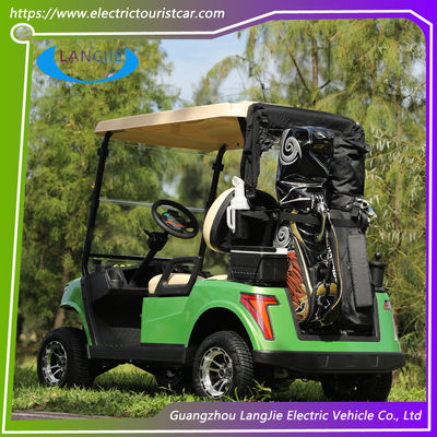 2 asientos AC Motor Buggy eléctrico Vehículo Carro de golf eléctrico con batería de plomo-ácido