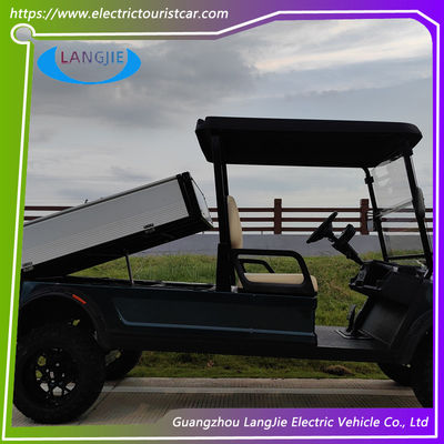 8~10h recarga de coche eléctrico Club AC Motor de 48 voltios 2 plazas Golf Buggy para aparcar