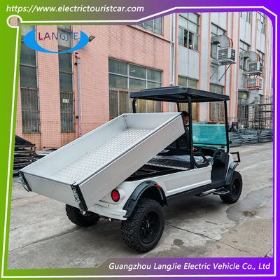 2 plazas carro de equipaje eléctrico de 48V motor de corriente alterna accionado por batería de carga para aparcar