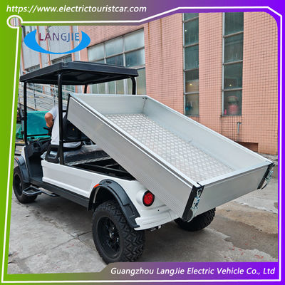 Motor de corriente alterna de 48 V eléctrico de 2 plazas Buggy de golf de batería Operado Certificación CE para el parque
