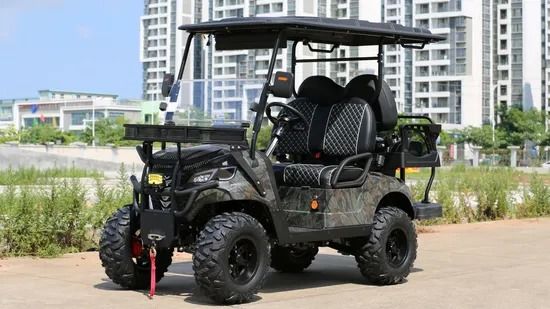 Un buen precio. Carrito de golf eléctrico con ruedas de 14 pulgadas, chasis Q235, pantalla de 10 pulgadas para una conducción cómoda online